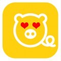 全民养猪安卓版 V2.9.9