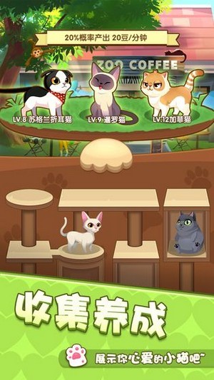 爱猫公社安卓版 V1.0.0