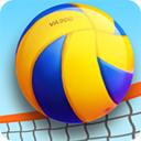 专业沙滩排球安卓版 V1.0.3