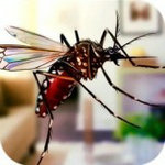 超级蚊子乱斗安卓版 V1.0.1