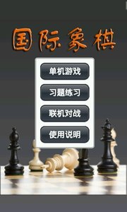 国际象棋