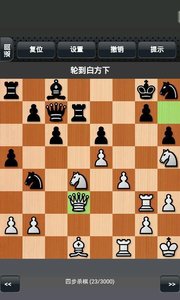 国际象棋