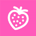 草莓安卓官方版 V1.2.0