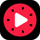 西瓜视频安卓官方版 V2.5.0