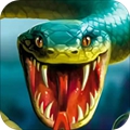蛇蛇大乱斗OL安卓版 V1.1.0