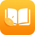橙子小说安卓版 V1.0.0