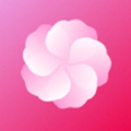 芙蓉安卓版 V1.0