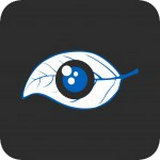 BlueEyes直播安卓版 V2.5.4