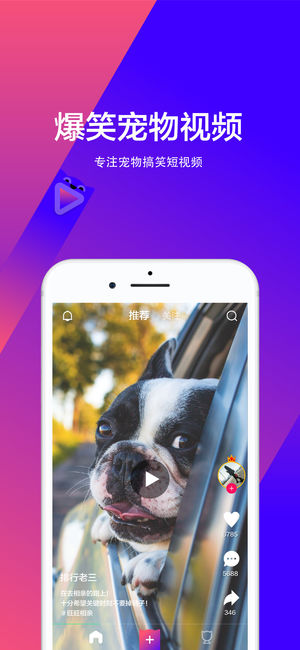 宠音短视频安卓版 V1.0.1
