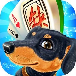 哈狗棋牌安卓版 V2.16.3