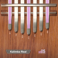 Kalimba Real安卓版 V2.7