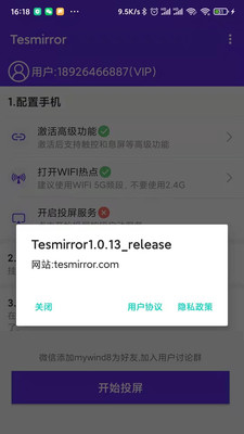 Tesmirror安卓版 V1.0