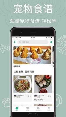 宠物食谱安卓版 V1.0.0