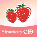 草莓公园安卓版 V1.0.0