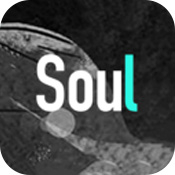 Soul安卓安卓官方版 V3.62.0