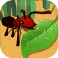 蚂蚁进化3D安卓版 V1.0.0