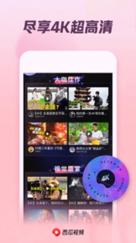 西瓜视频ios破解版 V1.0