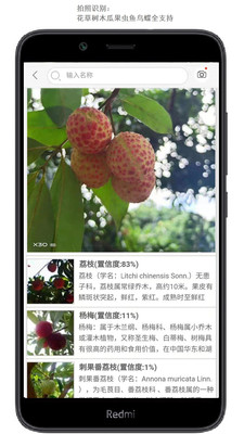 拍照识花安卓版 V1.0