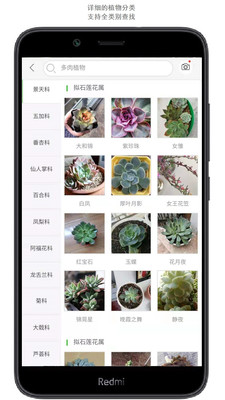 拍照识花安卓版 V1.0