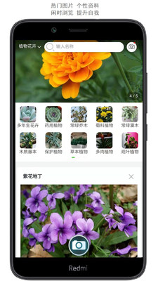 拍照识花安卓版 V1.0