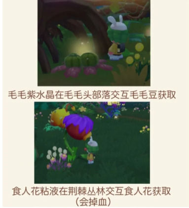 摩尔庄园手游黑森林怎么进？摩尔庄园手游黑森林地图攻略