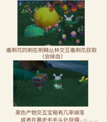 摩尔庄园手游黑森林怎么进？摩尔庄园手游黑森林地图攻略
