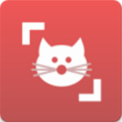 猫咪情绪识别安卓版 V1.0