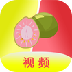 芭乐视频ios版 V1.0.0