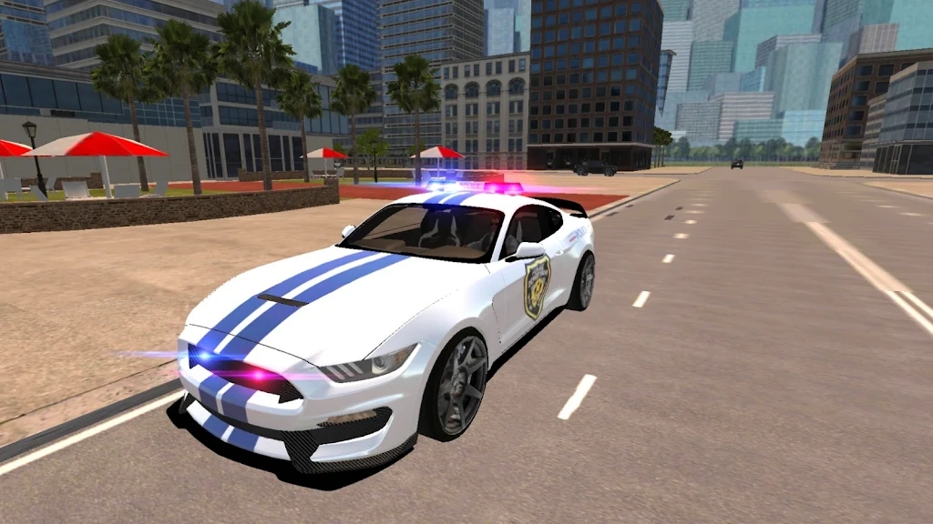 警车驾驶模拟安卓版 V1.0.1