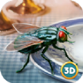 苍蝇模拟器3D安卓版 V1.0