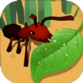 蚂蚁进化3d蜜蜂boss安卓版 V1.0