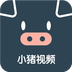 小猪视频安卓官方版 V1.0.3