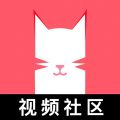 猫咪视频安卓无限免费版 V1.1.4