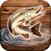 鱼雨钓鱼模拟器安卓版 V0.2.3