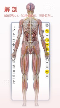 3Dbody解剖安卓版 V8.5.60