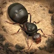 蚂蚁地下王国跨服战场安卓版 V1.9.0