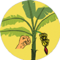 破坏热带植物安卓版 V1.0