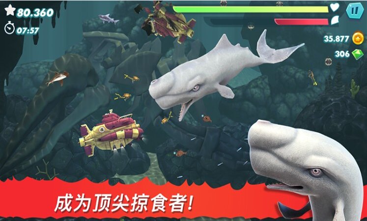 饥饿大白鲨安卓版 V1.0