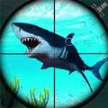 鲨鱼猎手3D安卓版 V1.1.6