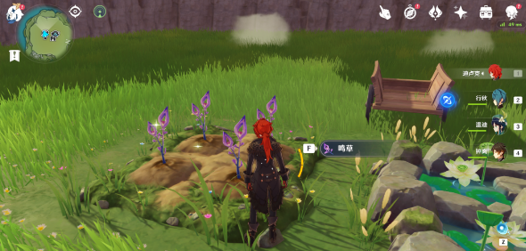 鸣草怎么种植？《原神》鸣草种植方法