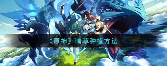 鸣草怎么种植？《原神》鸣草种植方法