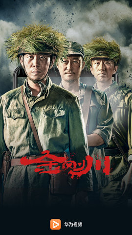 华为视频安卓免费版 V1.0