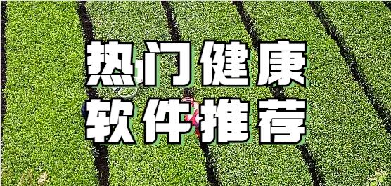 热门手机健康软件推荐