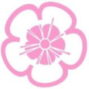 樱花私人电影院安卓纯净版 V1.0