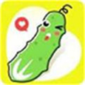 黄瓜视频安卓高清免费版 V1.0