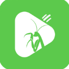 螳螂视频ios版 V1.0
