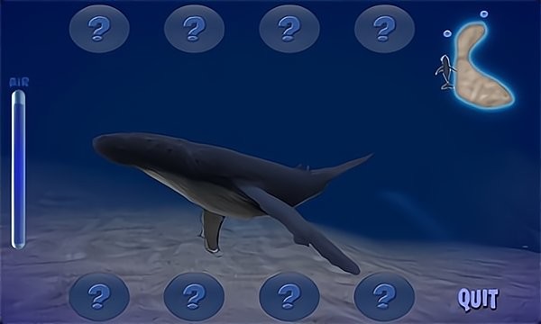 座头鲸模拟器安卓免费版 V1.0.2