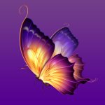 蝴蝶直播安卓在线版 V2.3