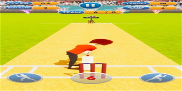 板球世界杯安卓版 V1.0