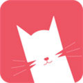 猫咪视频安卓官方版 V4.3